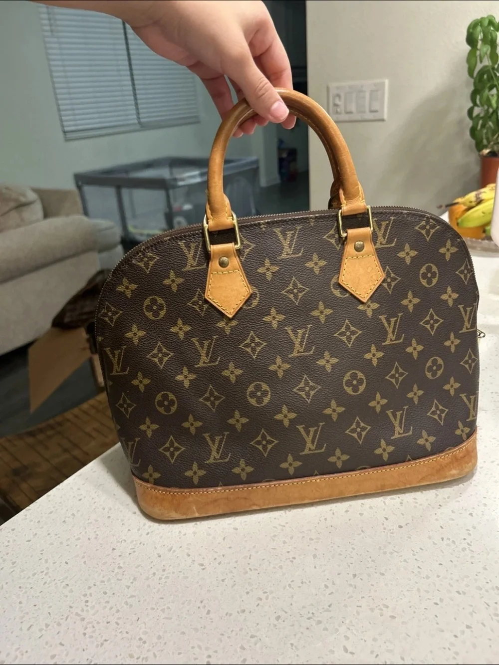 Louis Vuitton Monogram Alma Satchel in Brown and Tan